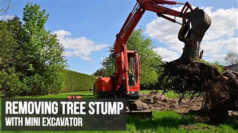 felling a trees with mini excavator|removing trees from excavators.